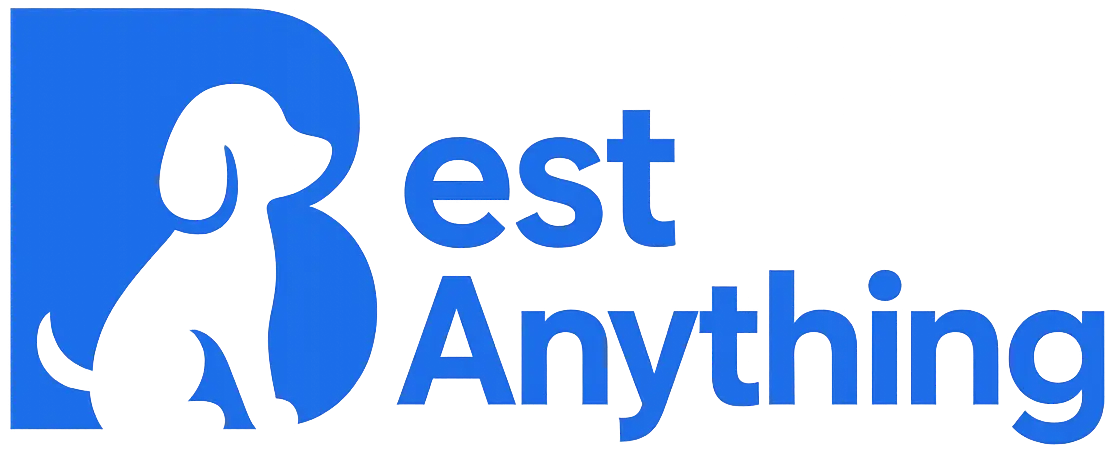 BestAnything Logo